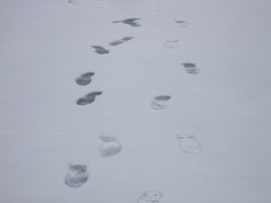 de agosto 2009 a enero 2010 280