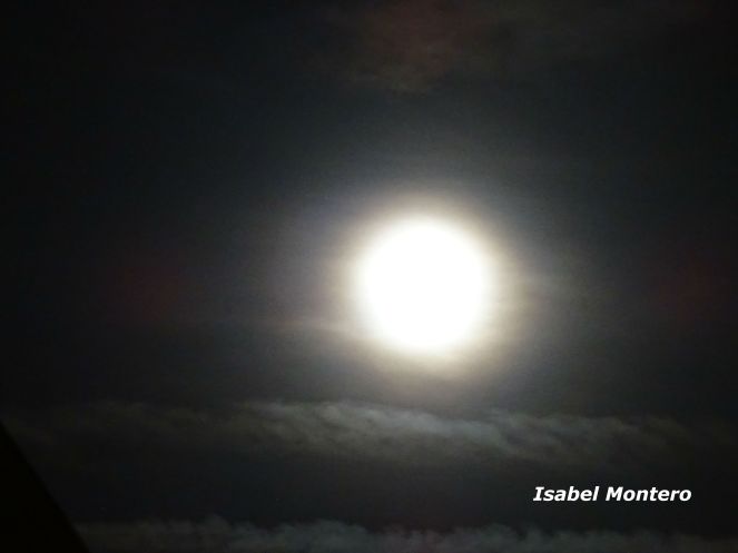 DSC00261 firmada luna