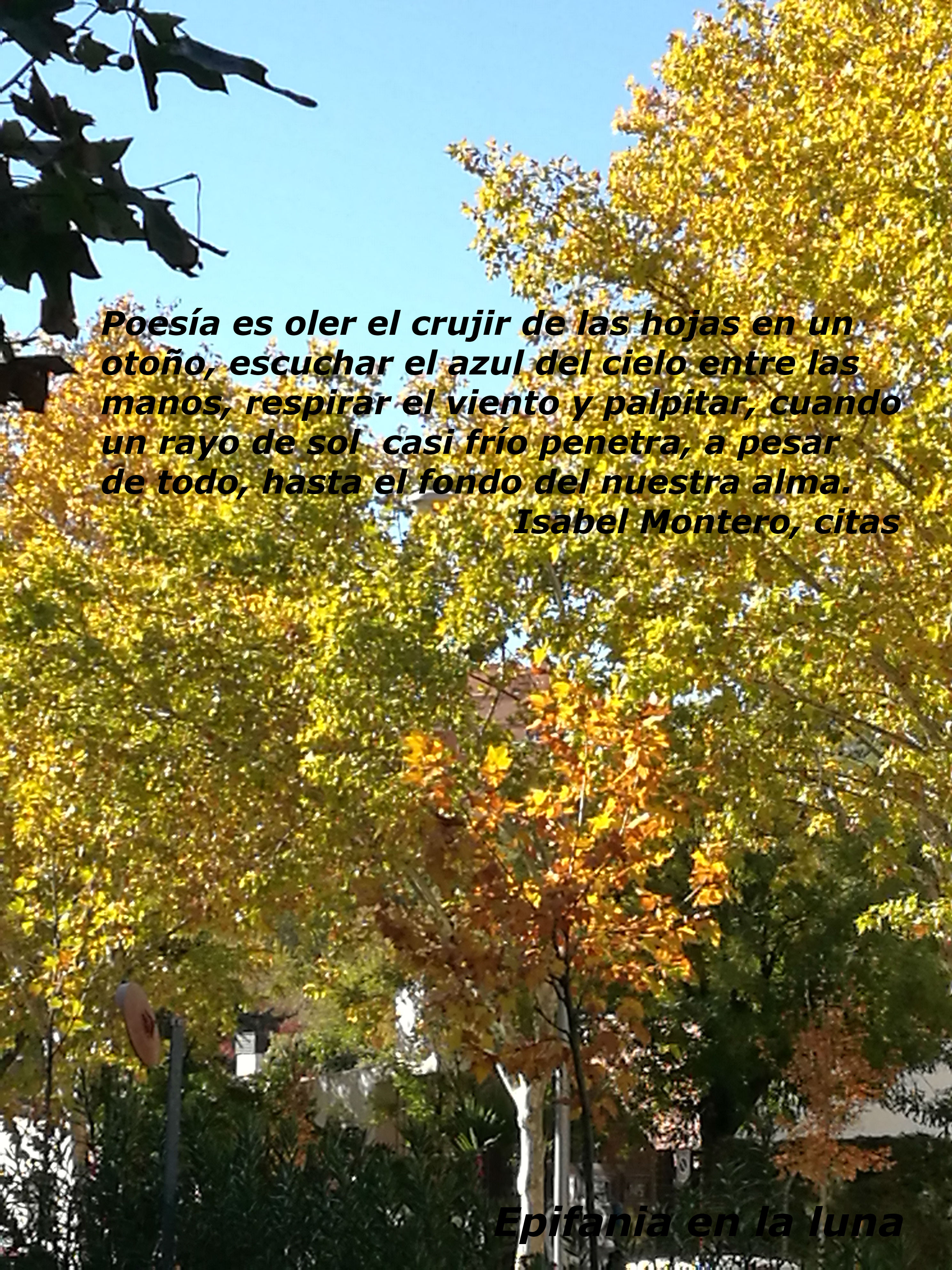 IMG_20171119_123554 cita