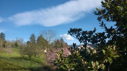 IMG-20170326-WA0003 cerezp