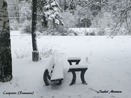 IMG_20180215_104224 carpatos epifania