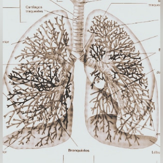 08C1A83D-5485-4770-9EA7-B842C65C5153