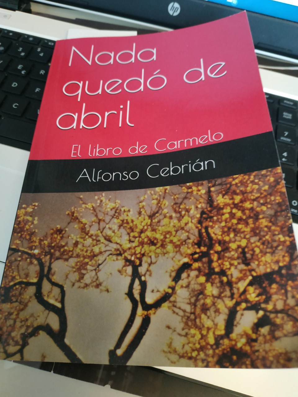 thumbnail_IMG_20191219_121502 alfonso cebrian